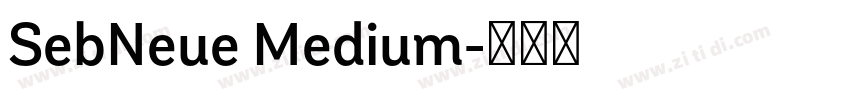 SebNeue Medium字体转换